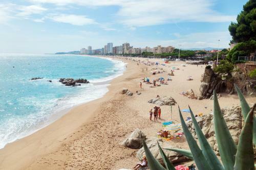 Apartamento Celimar Petit