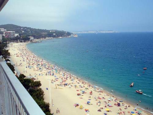 Apartamento Elypalace 15-9