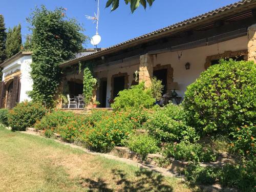 Villa Casa Topazio 15