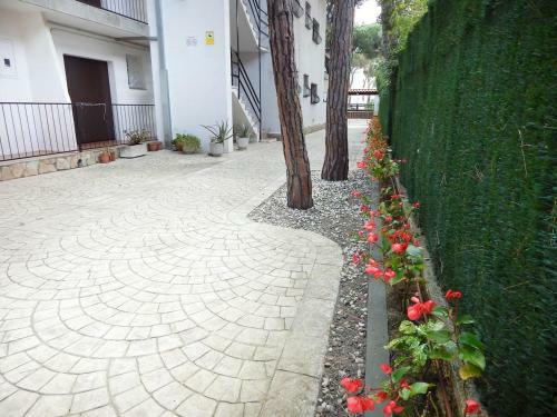 Apartamento A 50 Metros Playa
