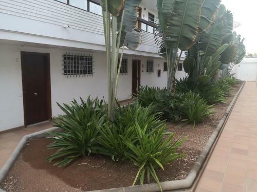 El Apartamento De Concha