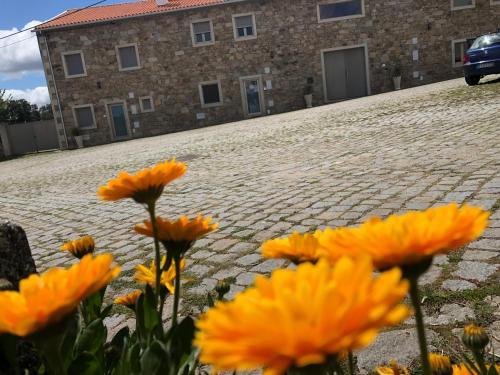 Hostal Casas Campo Cimo Da Quinta