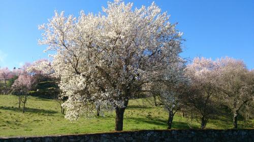 Hostal Flor Do Douro