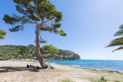 Apartamento Oro Del Mar Bloque D 2� A
