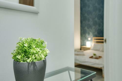 Apartamento 2b El Amore