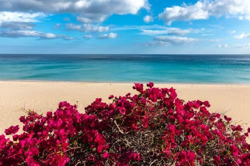 Apartamento Costa Calma Bungalow 8124