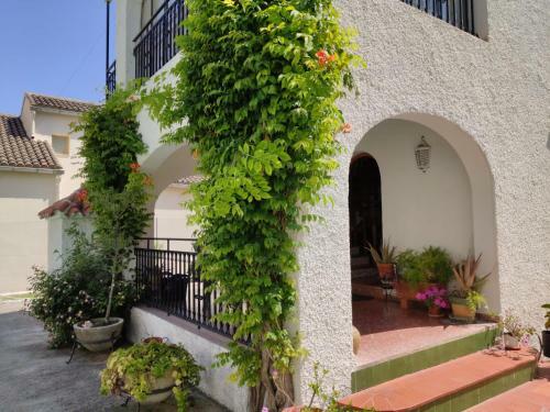 Villa Rebeca
