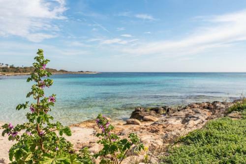 Apartamento Ca L'avi I S'avia - Punta Prima
