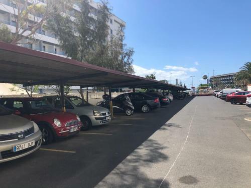 Apartamento Tropical Home Agaete Parque