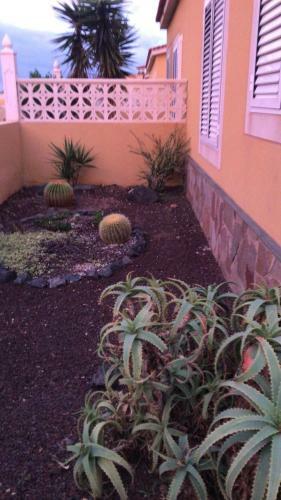 Fuerteventura Top New Beach House