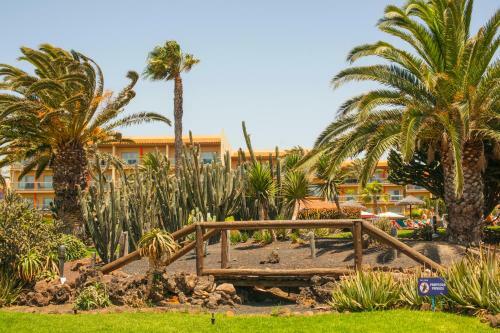 Inviting 1-bed Apartment On Castillo Mar