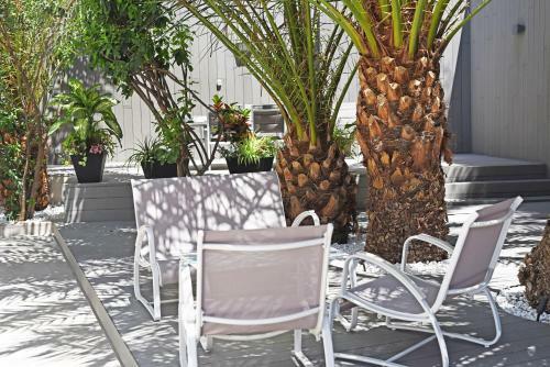 Calypso Boutique Apartments