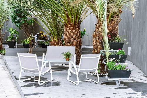 Calypso Boutique Apartments