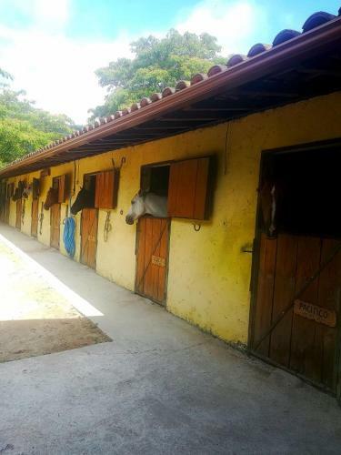 Bed & Breakfast Quinta Do Fijo