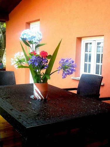 Bed & Breakfast Quinta Do Fijo