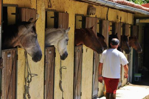 Bed & Breakfast Quinta Do Fijo