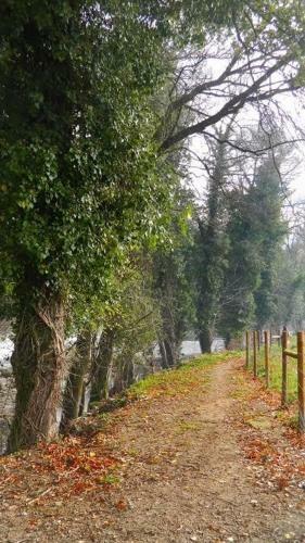 Quinta Lamosa Agroturismo