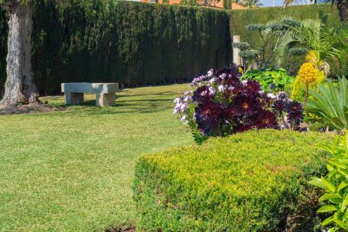 Club Villamar - Stone