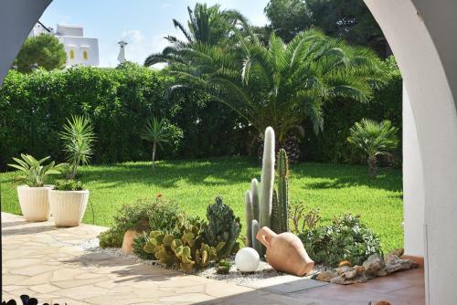 Villa Punta Boca