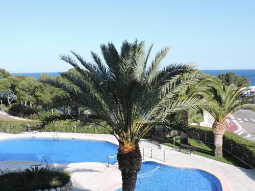 Apartamento Doree 523