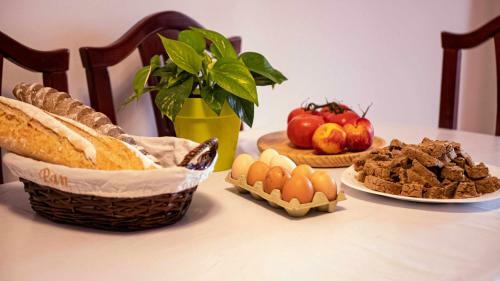 Hostal Canary Bio Hostel Tenerife