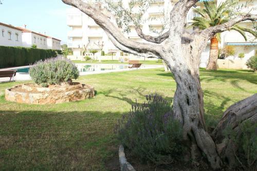 Apartamento Los Pelicanos
