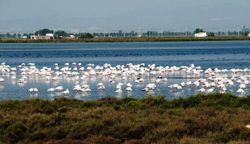 Apartamento Los Pelicanos