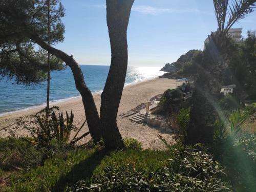 Sunrise Apartment Montroig Mar