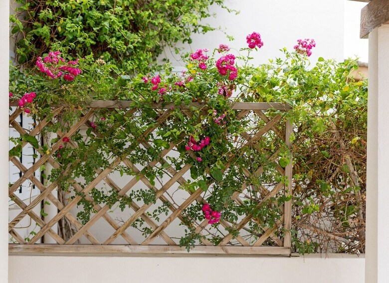 Apartamento Es Garrovers - Formentera Break