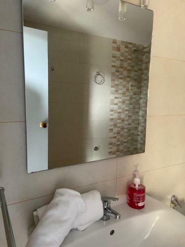 Apartamento De 1 Dormitorio, Edificio Penibtico