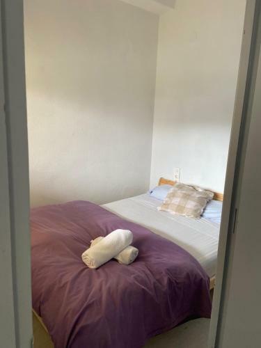 Apartamento De 1 Dormitorio, Edificio Penibtico