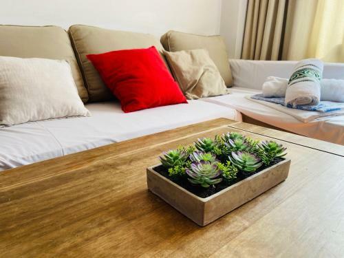 Apartamento Con Vistas