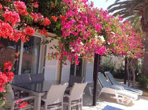 Sue�o Azul Free Wifi