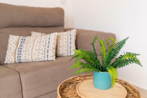 Moderno Apartamento En Calan Bosch- C10