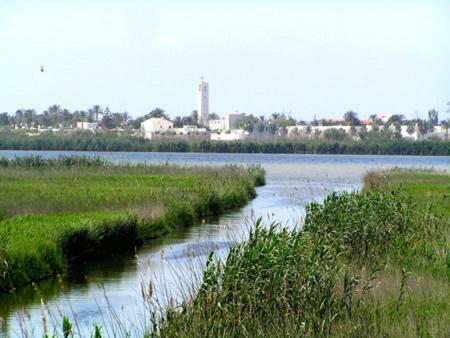 Lo Trabucador Casa Nueva En El Coraz�n Del Delta