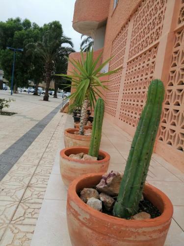 Apartament M&m Playa Honda Murcia La Manga