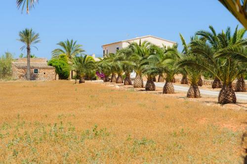 Villa Hort Can Veritat