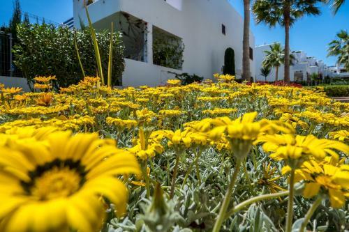 Apartamento Colibri