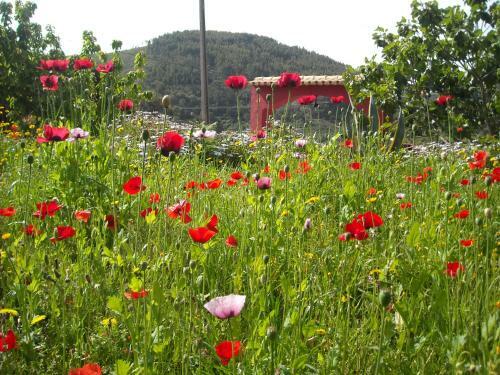 Bed & Breakfast Casa Spa D'alma