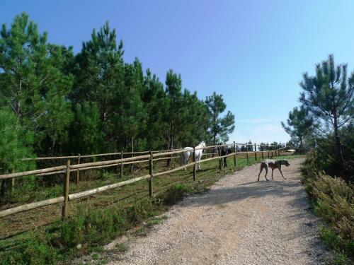 Bed & Breakfast Teima, Alentejo Sw