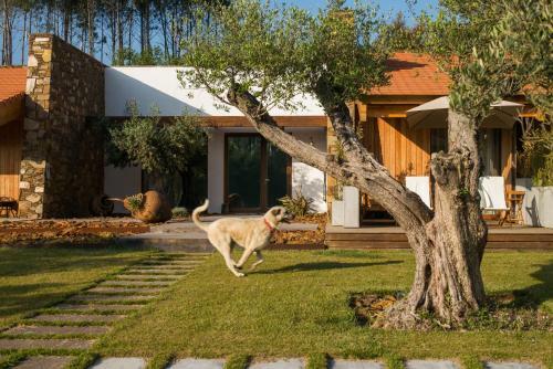 Bed & Breakfast Teima, Alentejo Sw
