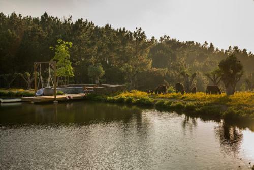Bed & Breakfast Teima, Alentejo Sw