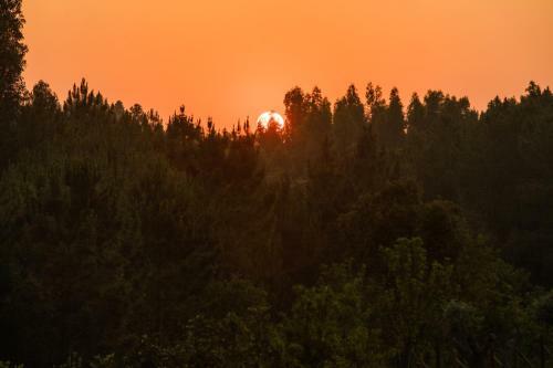 Bed & Breakfast Teima, Alentejo Sw