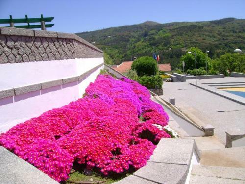 Bed & Breakfast Miradouro Da Serra