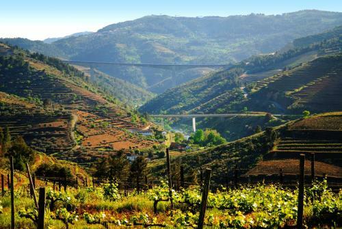 Agroturismo Casa Oliveiras Do Douro