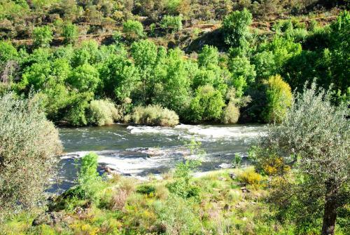 Agroturismo Casa Oliveiras Do Douro