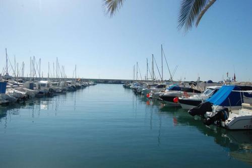 Apartamento A&n Seaport 2b