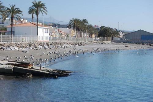 Apartamento A&n Seaport 3a