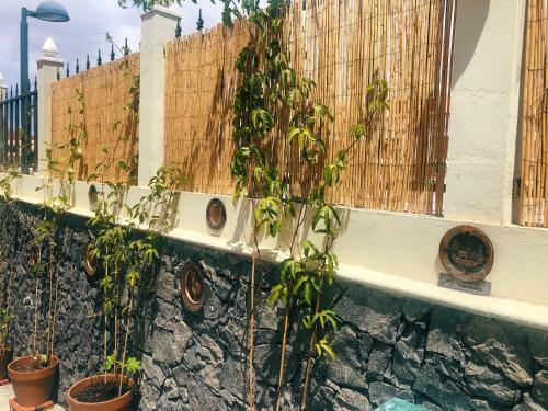 Bed & Breakfast Villa 8 Islas