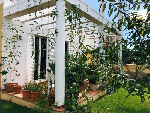 Bed & Breakfast Villa 8 Islas